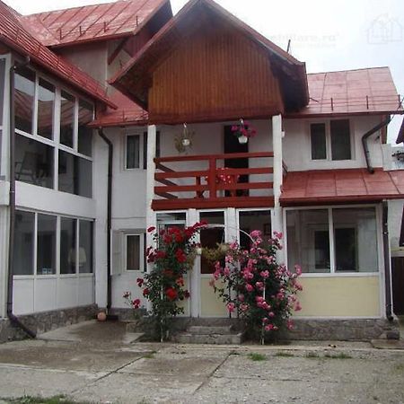 Vila Laura Buşteni Exterior foto